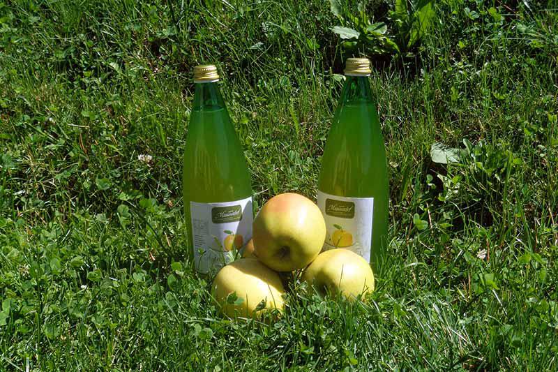 Apple juice from the Masunerhof