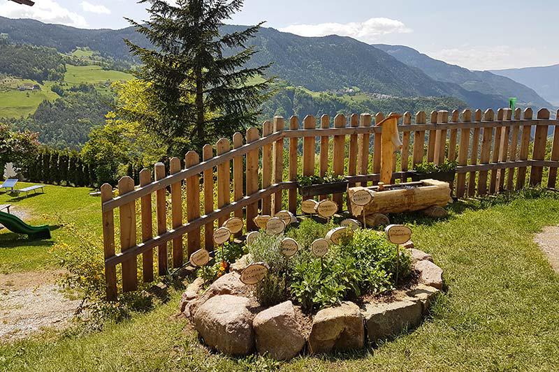Unser kleiner Kräutergarten