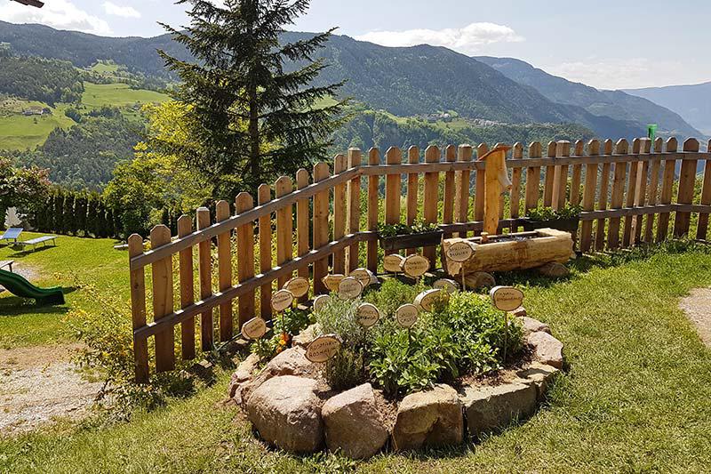 Our little herb-garden