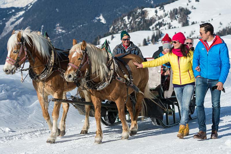 Romantic horse-drawn sleigh rides on the Alpe di Siusi