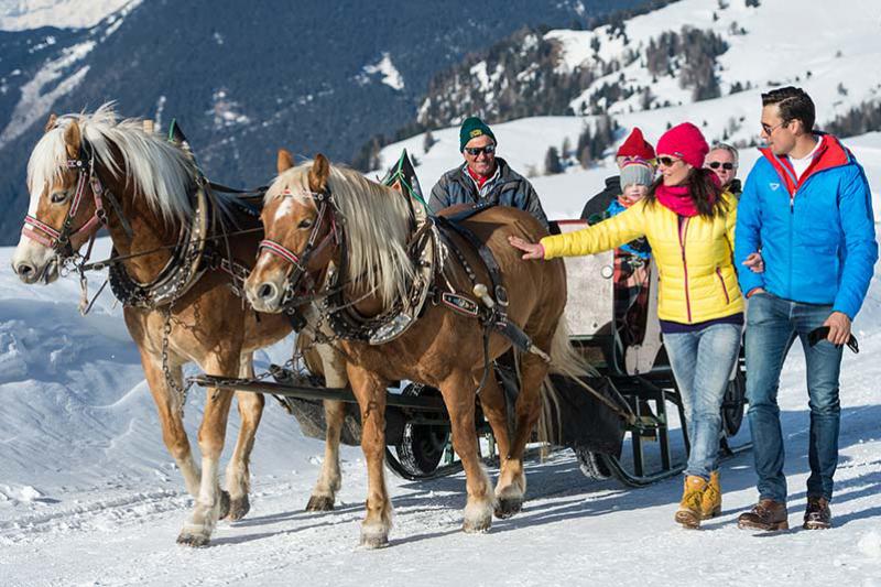 Pferdeschlittenfahrt auf der Seiser Alm