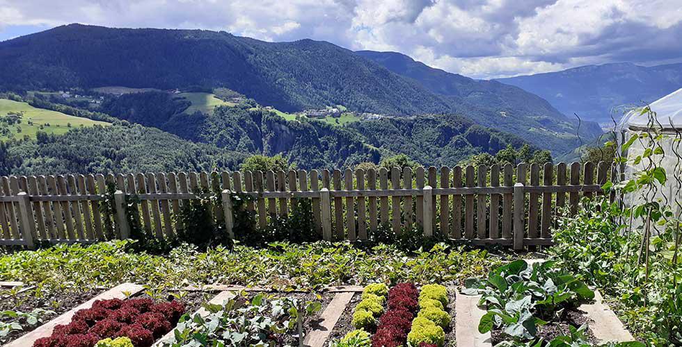 Farm garden with panoramic views