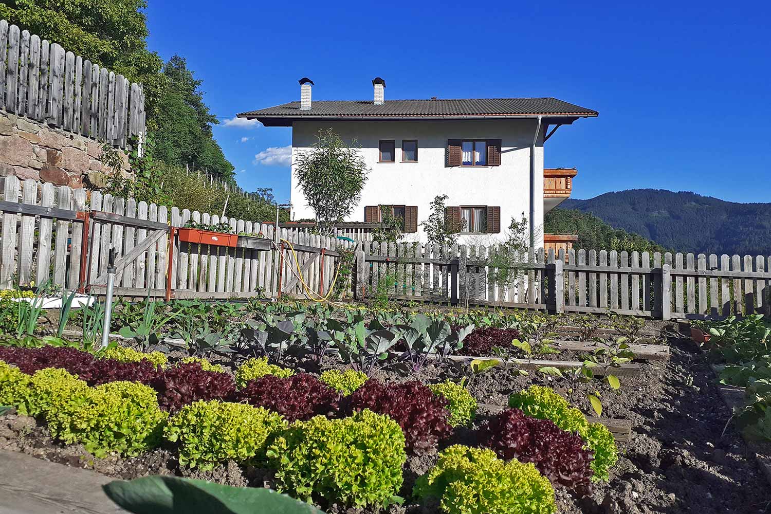 Farm garden in South Tyrol