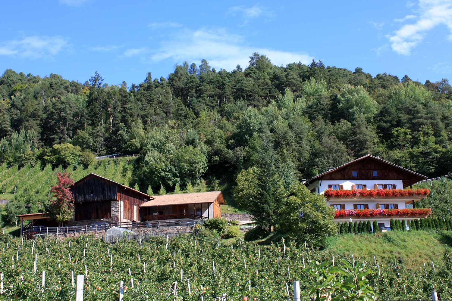 Masunerhof - Bauernhof in Völs am Schlern