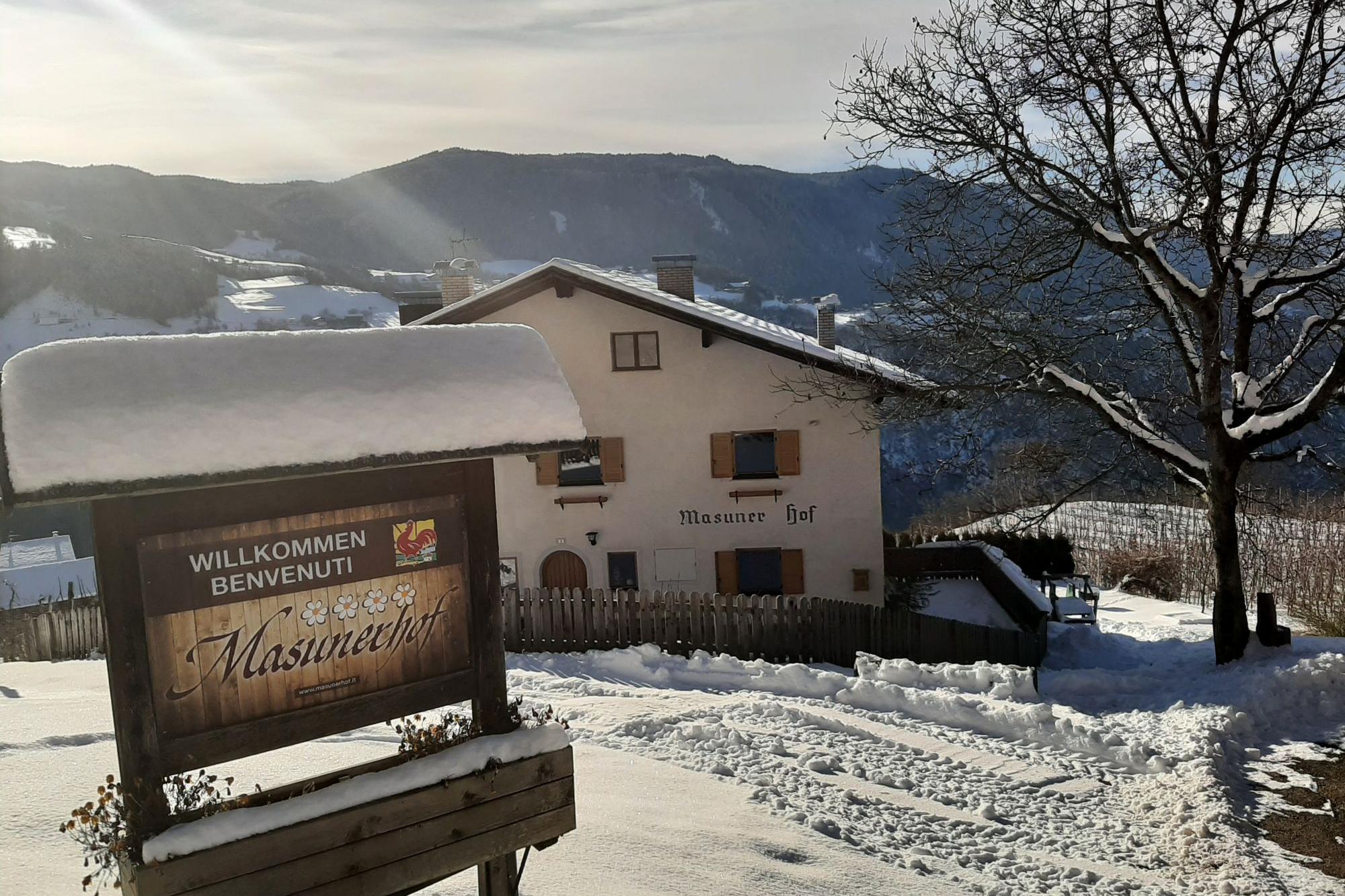 Masunerhof im Winter