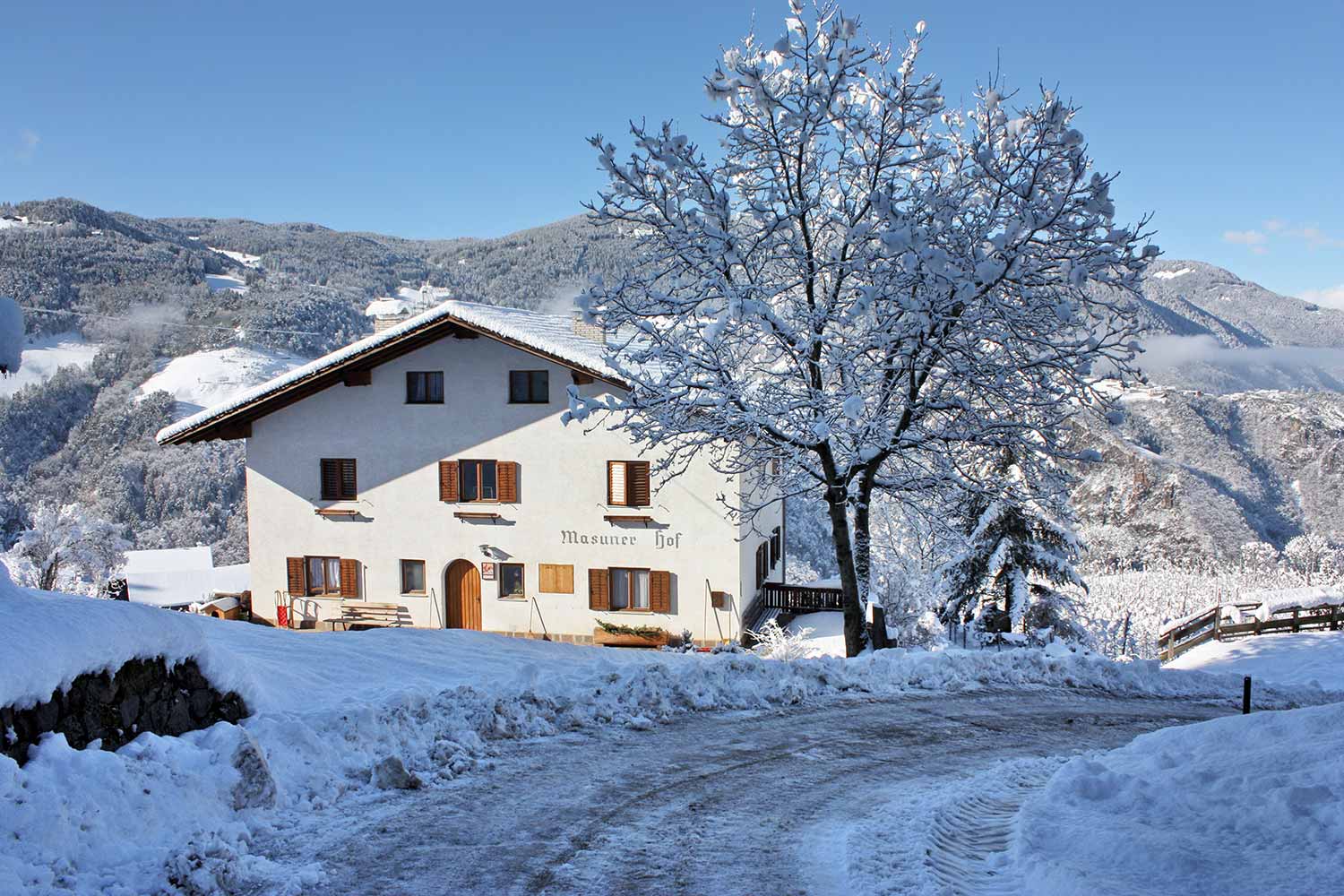 Masunerhof im Winter