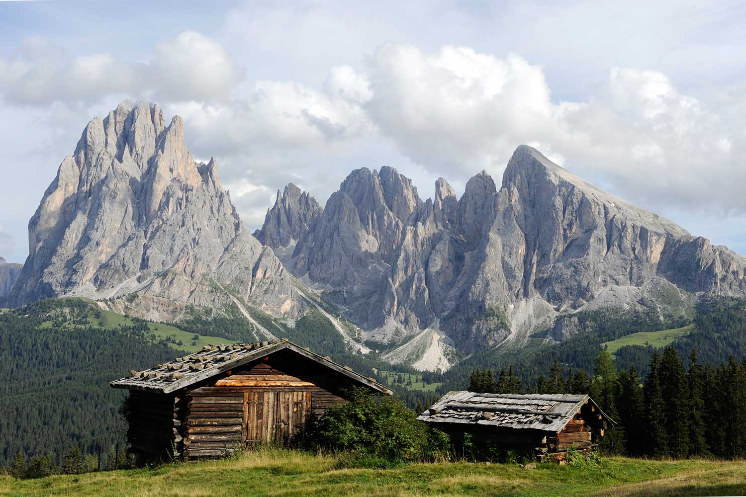 Alpe di Siusi nelle Dolomiti